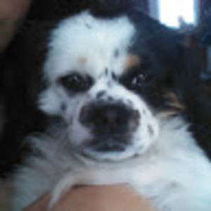 Meet your Posher, Erika